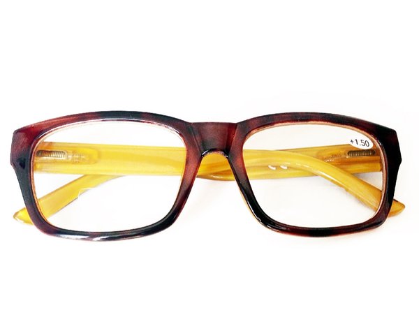Klarsichtbrille mit Lesefenster (Mora)