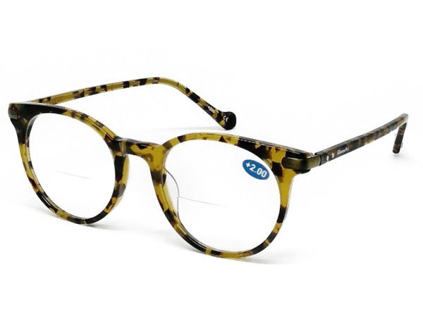 Brille mit Lesefenster & selbst tönenden Gläsern (Luco)