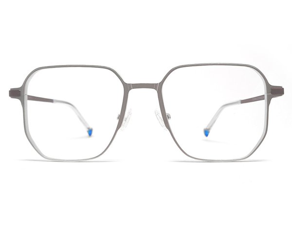 Gleitsichtbrille zum Komplettpreis (Gony) CHF.366.-
