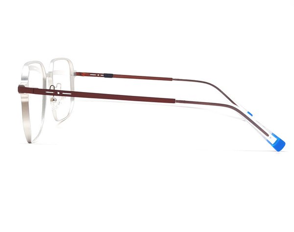 Gleitsichtbrille zum Komplettpreis (Gony) CHF.366.-