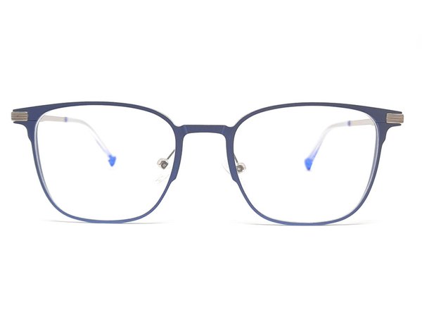 Einstärkebrille zum Komplettpreis (Arian)