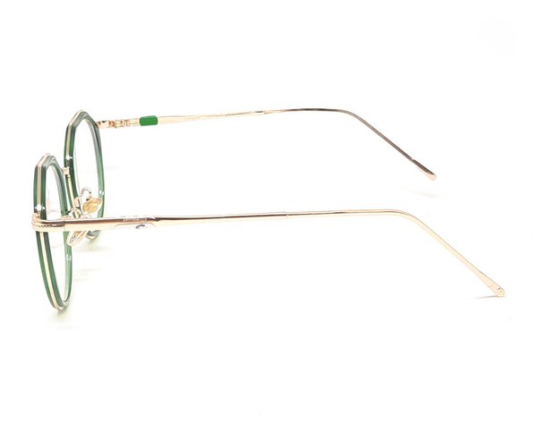 Gleitsichtbrille zum Komplettpreis (Eva) CHF.366.-