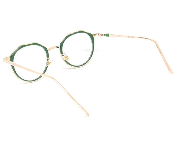 Gleitsichtbrille zum Komplettpreis (Eva) CHF.366.-